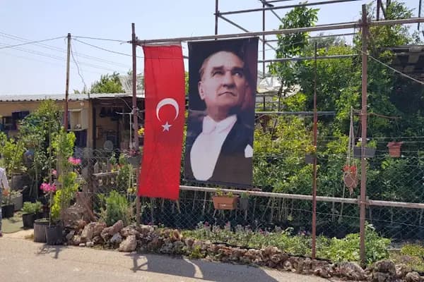 Antalya Aykut Peyzaj Botanik - Peyzaj Mimarı - Antalya Aksu