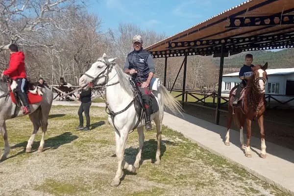 Mavi Oba At Çiftliği Ve Kahvaltı Merkezi - At Binme Hizmeti - Balıkesir Altıeylül