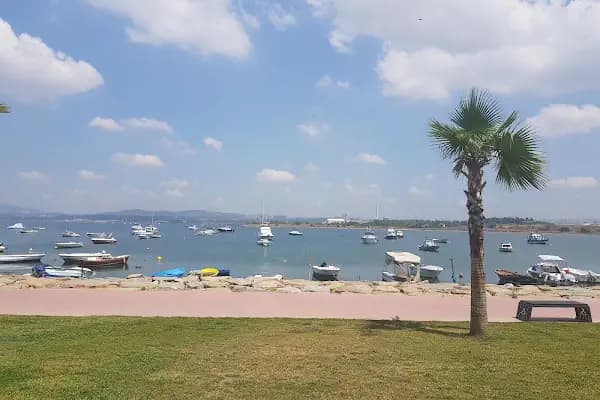 Balyanoz Koyu - Park - Kocaeli Darıca