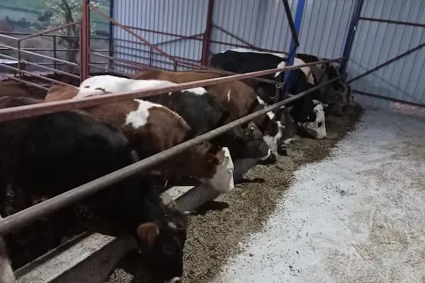 F &amp; S Çamaşır Yıkama Ve Temizlik Hizmetleri - Çamaşır Yıkama Hizmeti - Balıkesir Altıeylül