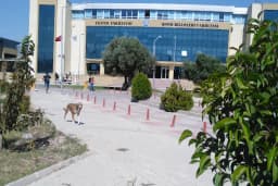Ege Üniversitesi Eğitim Fakültesi