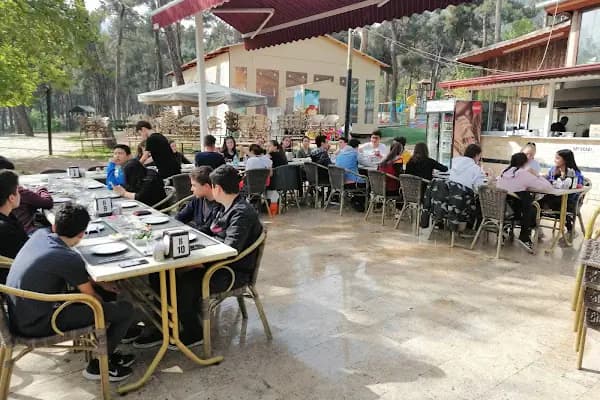 Çamlık Çay Bahçesi / Hayat Kahvesi - Çay bahçesi - Denizli Pamukkale