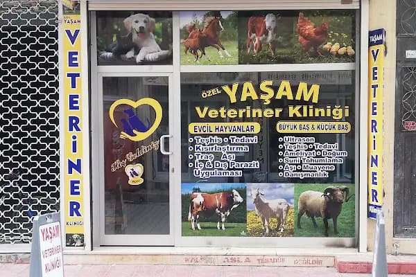 ÖZEL YAŞAM VETERİNER KLİNİĞİ - Veteriner - Mardin Nusaybin