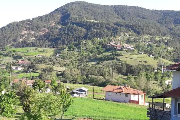 Alanköy Köyü Muhtarlığı - Otel - Bolu Bolu Merkez