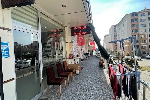 ERYAMAN ROTA PET SHOP ALO MAMA - Evcil hayvan mağazası - Ankara Yenimahalle