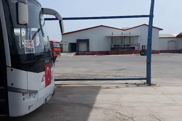 tat tavuk - Tavuk restoranı - Sakarya Adapazarı