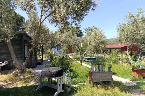 kozak köyüm Cafe - Kafe - İzmir Bergama