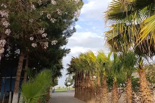 ZÜRREK İLK/ORTAOKULU - Okul - Şanlıurfa Akçakale