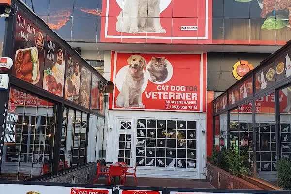 Veteriner Cat Dogtor - Veteriner - Gaziantep Şehitkamil