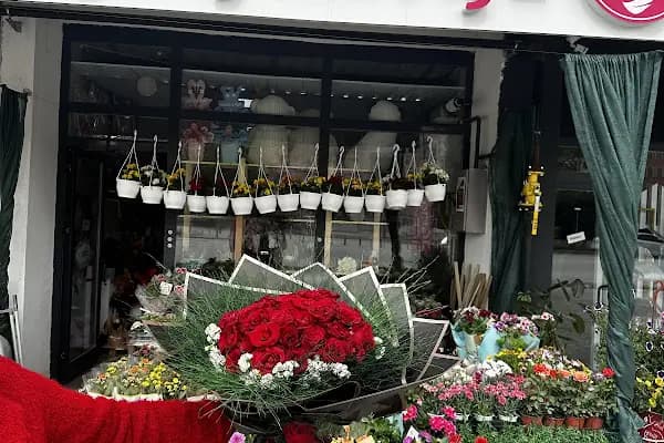 Sidra Çiçekçilik - Çiçekçi - Konya Karatay