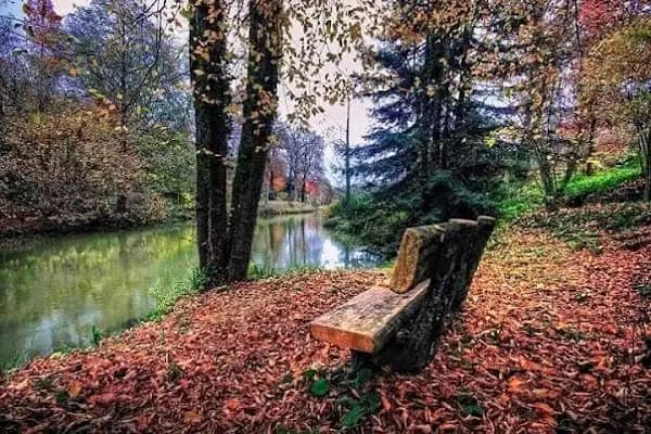 Akçaabat Ekmek Fırını - Fırın - Düzce Akçakoca