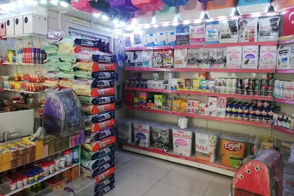 İLKİM PETSHOP - Evcil hayvan mağazası - İstanbul Bağcılar