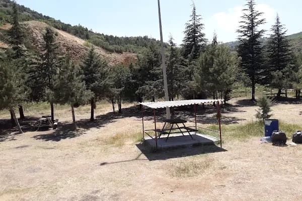 Yeşildere Orman Parkı - Park - Ankara Sincan