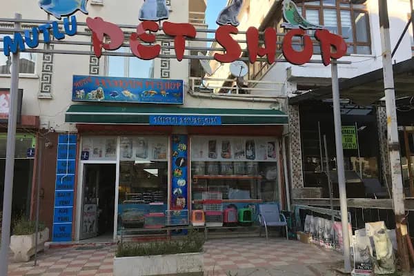Mutlu akvaryum petshop - Evcil hayvan mağazası - Ankara Yenimahalle