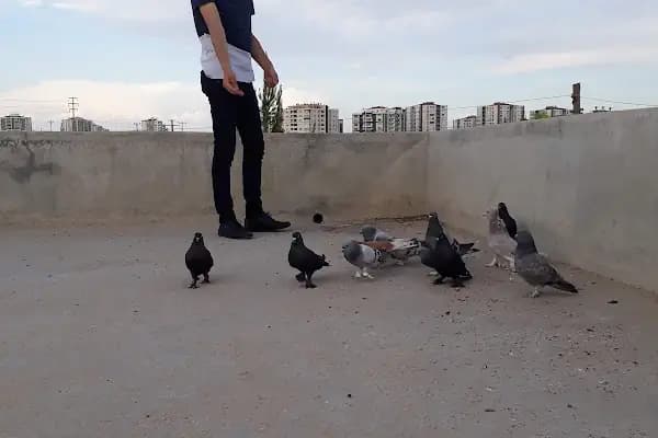 Çocuk Oyun Parkı - Park - Diyarbakır Kayapınar