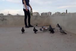 Çocuk Oyun Parkı