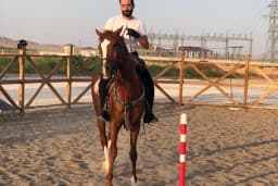 MALATYA ATLI SAFARİ KULÜBÜ