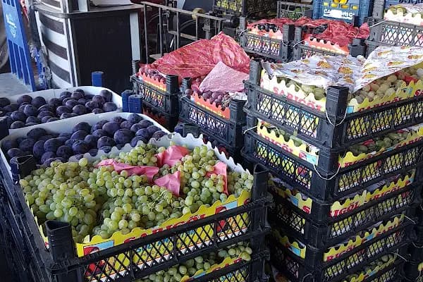 Nizip Beledyesi Sebze Hal - Gıda Pazarı - Gaziantep Nizip
