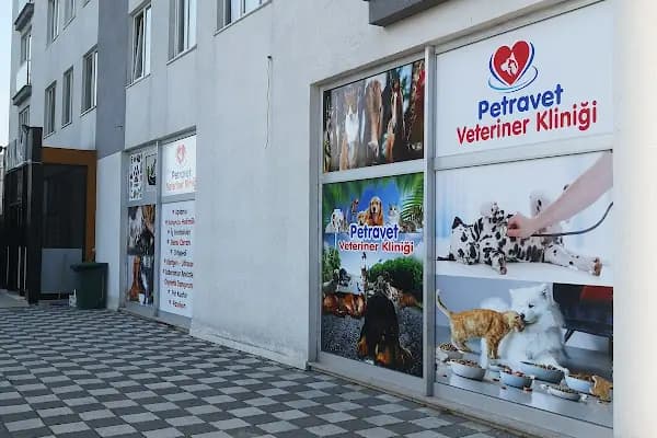 PETRAVET VETERİNER KLİNİĞİ - Hayvan Hastanesi - İstanbul Arnavutköy