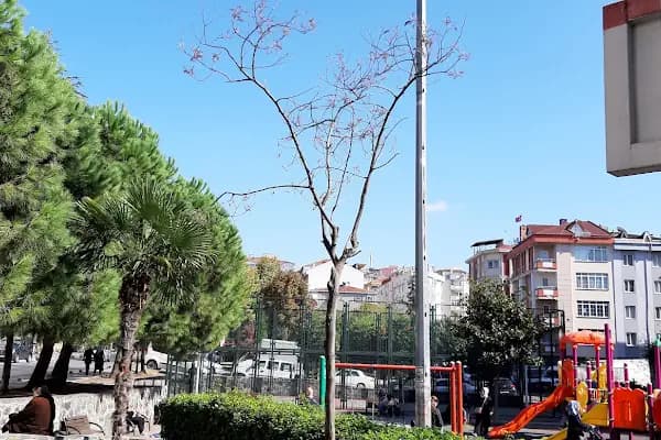Togay Bayatlı Parkı - Park - İstanbul Bahçelievler