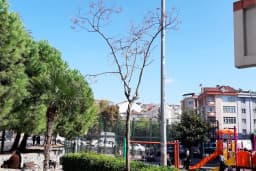 Togay Bayatlı Parkı