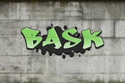Baylık Akademi Spor Kulübü