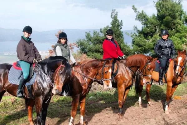 Doğuşlu Binicilik Kulübü - Binicilik Okulu - Bursa Osmangazi