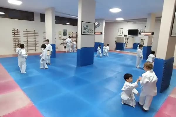 DOĞUKAN DOJO AiKiDO - Aikido Okulu - İstanbul Ataşehir