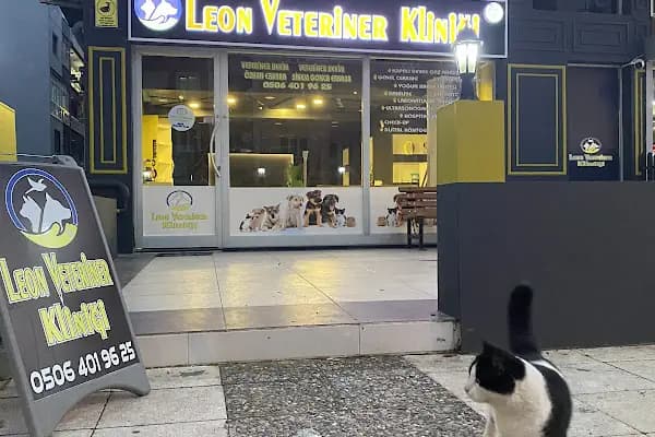 Leon Veteriner Kliniği - Veteriner - Manisa Manisa
