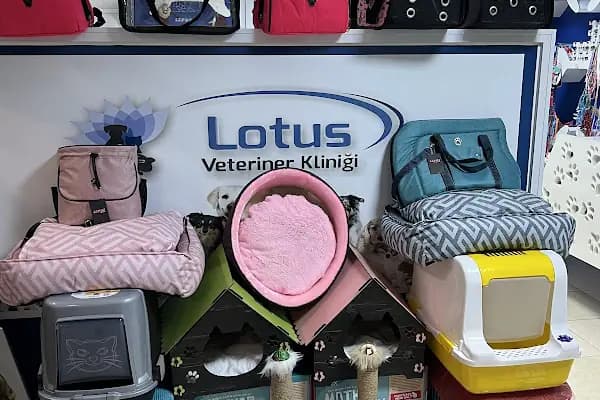 Adana Lotus Veteriner Kliniği - Veteriner - Adana Çukurova