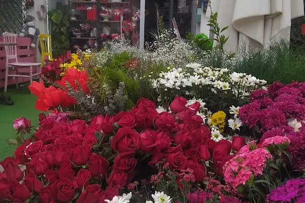 Keçiören sanatoryum Pırıltı Çicek Evi - Çiçekçi - Ankara Çamlıdere