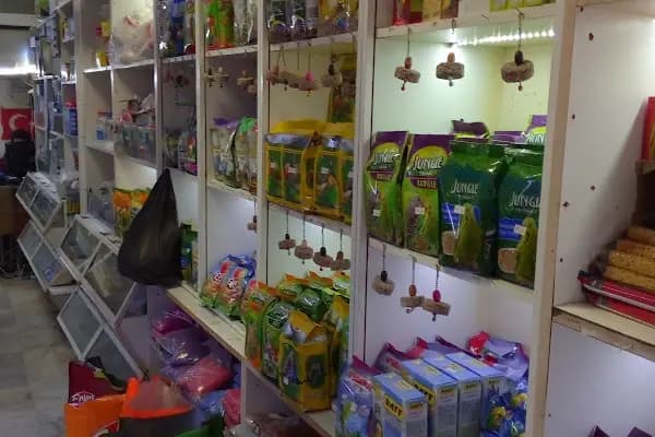 Stad Pet Shop - Evcil hayvan mağazası - Bursa İnegöl