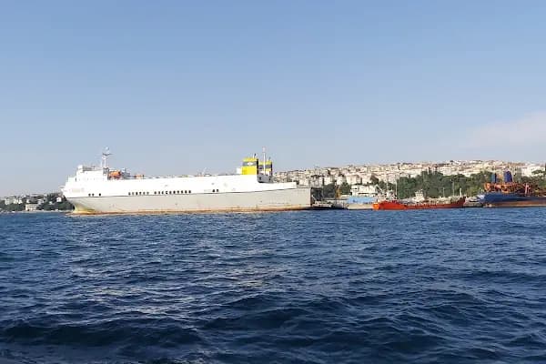 Haydarpaşa Gümrük Müdürlüğü - Resmi Kurum - İstanbul Beşiktaş