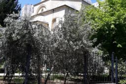 Nur Cami ( Arif Zaloğlu Camii )