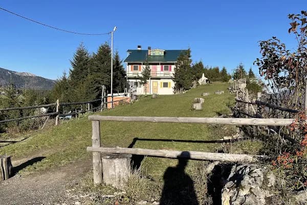 Kayaüstü Dağ Evi - Otel - Trabzon Ortahisar