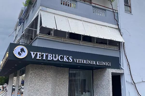 Alanya Meltem's Veteriner Kliniği / Ветеринар / Petshop / Grooming / зоомагазин / Аптека - Veteriner - Antalya Alanya