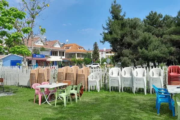 Keyifli Cafe - Kafe - Samsun Alaçam
