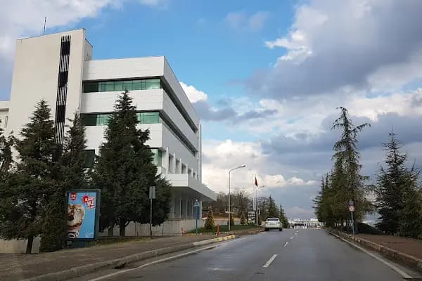Sakarya Üniversitesi Siyasal Bilgiler Fakültesi - Üniversite - Sakarya Serdivan