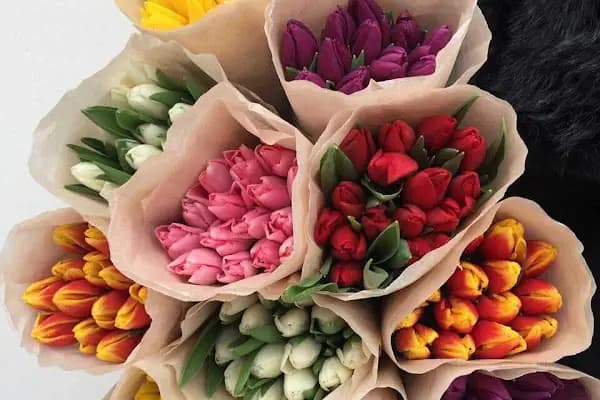 Alanya Anka florist flower çiçek çiçekçi - Çiçekçi - Antalya Demre