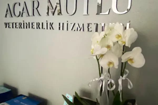Acar Mutlu Veteriner Kliniği - Veteriner - Konya Meram