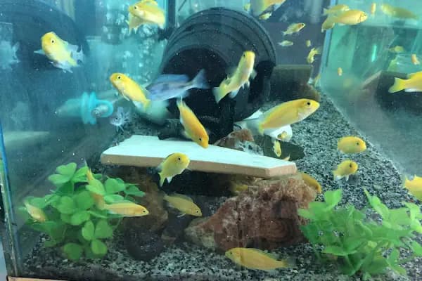 BERİL AKVARYUM PETSHOP - Evcil hayvan mağazası - Konya Selçuklu