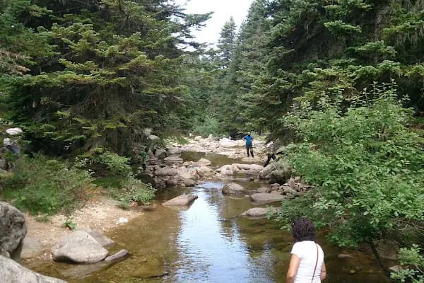 Softaboğan Şelalesi - Ulusal park - Bursa İnegöl