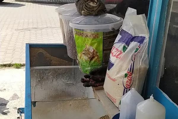 Tural Gübre ve Tarım Ürünleri - Gübre Tedarikçisi - Samsun Bafra