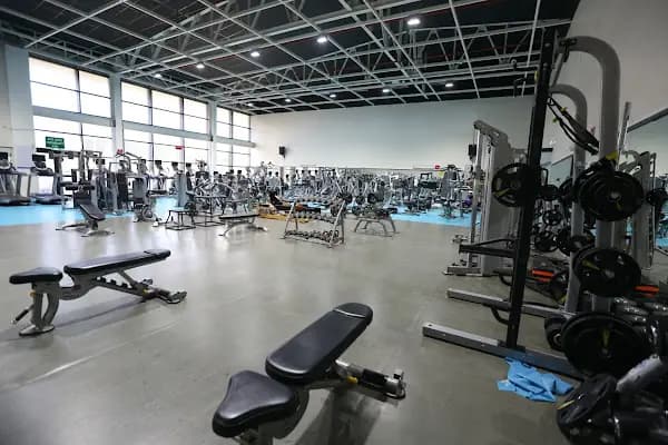 İBB İstanbul Üniversitesi Avcılar Spor Kompleksi - Spor kompleksi - İstanbul Bağcılar