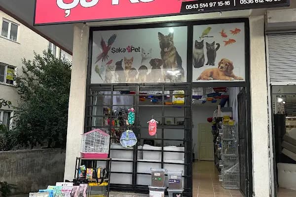 ŞAKA PETSHOP - Evcil hayvan mağazası - Ankara Sincan