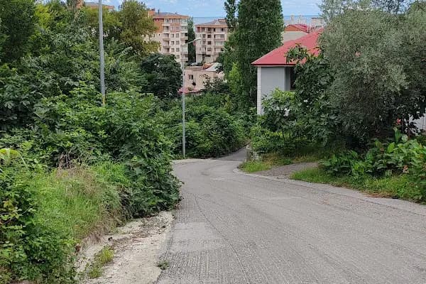 Trabzon Organik Solucan Gübresi Ve Solucan Satışı - Gübre Tedarikçisi - Trabzon Akçaabat