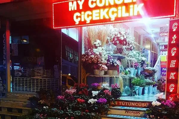 Pink Erkam Optik lens - Optik - İstanbul Avcılar