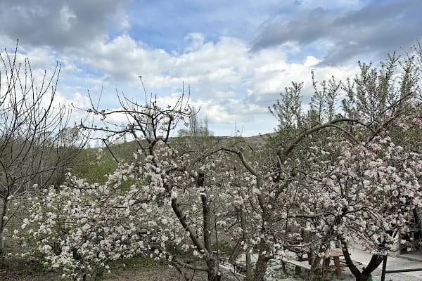 Mutlu Dedenin çiftliği - Kahvaltı restoranı - Ankara Ayaş
