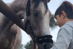 Texas ranch bodrum