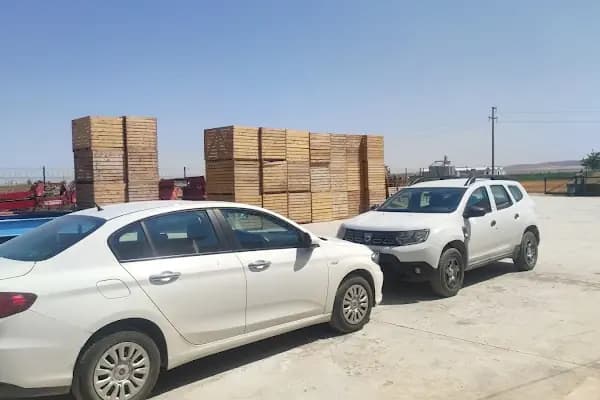 ÖZTAR TOHUMCULUK, PATATES TOHUM DEPOSU - Depo - Konya Selçuklu
